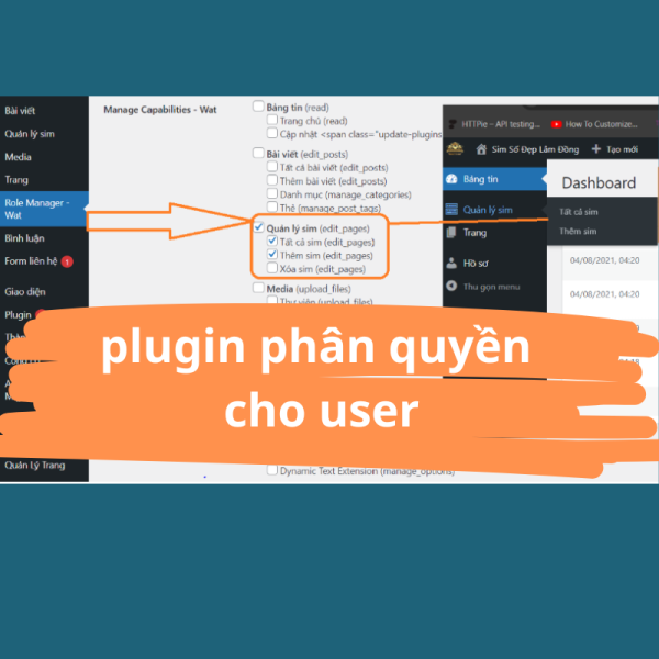 phân quyền user plugin